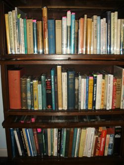 Bookseller Store photo