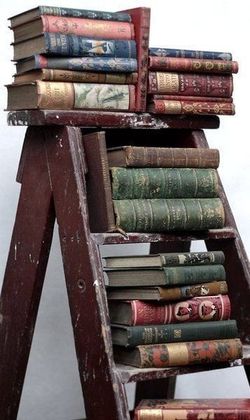 Bookseller Store photo