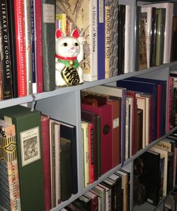 Bookseller Store photo