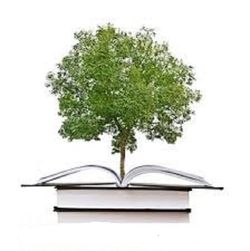 logo: OIBOOKS - LIBROS