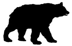 logo: Thomas C. Bayer
