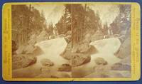 VALLEY Of The YOSEMITE.  Grasshopper Fall.  1251