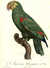 L'Amazone t&ecirc;te jaune [Yellow-headed Amazon (Amazona ochrocephala)] [Pl.  86] by  Jacques (1767/8-1809) BARRABAND from Donald Heald Rare Books - Used Book