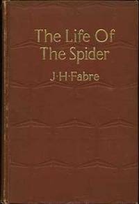 The Life of the Spider