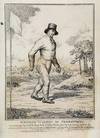 George Wilson the Pedestrian