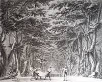 "Het Bosch." Engraving before letters by R. Vinkeles after the painting by A. van der Groen