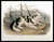Hare-Indian Dog [Pl. 132] by  John Woodhouse AUDUBON from Donald Heald Rare Books - Used Book