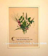 The Flowers of Shakespeare: Wheat, Rye, Barley, Vetches, Oats & Peas from The Tempest