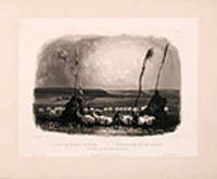 Offering of the Mandan Indians [Vig. 14]