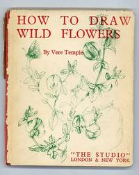 How to Draw Wild Flowers How to Draw Wild Flowers