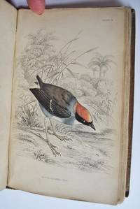The Naturalist's Library, Ornithology. Vol. X. Flycatchers