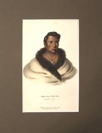 Ong-Pa-Ton-Ga, an Omakas Chief (Ongpatonga, or Big Elk):  Indian Tribes plate
