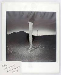 Richard Misrach 1979
