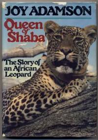 Queen Of Shaba Queen Of Shaba