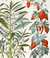 Balsamina foemina [Garden balsam]; Balsamina Mas fructu puniceo [Orange-coloured balsam apple]; Momordica fructu luteo rubescente [Red balsam apple] by  Basil (1561-1629) BESLER from Donald Heald Rare Books - Used Book - First Edition
