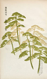 20 Original Japanese Paper Samples