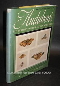 Audubon's Butterflies Moths and Other Studies  Insects Reptiles Also Bird Studies with Entomological Details
