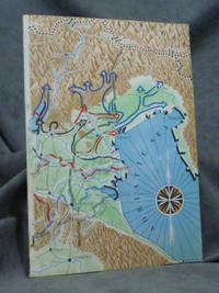 19 Days from the Apennines to the Alps: the Story of the Po Valley Campaign