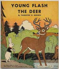 Young Flash the Deer
