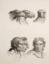 [Illustration of physiognomic resemblance between a Man and an Eagle] [Pl. 13]