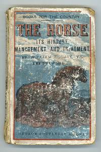 The Horse The Horse