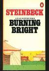 Burning Bright