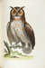 A Natural History of Uncommon Birds, and of Some Other Rare and Undescribed Animals by  George (1694-1773) EDWARDS from Donald Heald Rare Books - Used Book - Hardcover