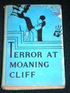 Terror at Moaning Cliff (Melody Lane Mystery Stories)