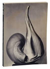EW: 100 Centennial Essays in Honor of Edward Weston. Untitled 41