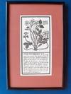 Strawberry Ice - "Thirty Recipes Suitable for Framing" (1970)