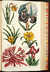 Eden: or, a Compleat body of gardening, containing plain and familiar directions for raising the several useful products of a garden ... compiled and digested from the papers of the late celebrated Mr. Hale, by the authors of the compleat body of husbandry. And comprehending the art of constructing a garden for use and pleasure; the best methods of keeping it in order: and the most perfect accounts of its several products by  Sir John (1716-1775)] [HILL from Donald Heald Rare Books - Used Book - Hardcover - First Edition