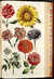 Eden: or, a Compleat body of gardening, containing plain and familiar directions for raising the several useful products of a garden ... compiled and digested from the papers of the late celebrated Mr. Hale, by the authors of the compleat body of husbandry. And comprehending the art of constructing a garden for use and pleasure; the best methods of keeping it in order: and the most perfect accounts of its several products by  Sir John (1716-1775)] [HILL from Donald Heald Rare Books - Used Book - Hardcover - First Edition