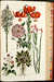 Eden: or, a Compleat body of gardening, containing plain and familiar directions for raising the several useful products of a garden ... compiled and digested from the papers of the late celebrated Mr. Hale, by the authors of the compleat body of husbandry. And comprehending the art of constructing a garden for use and pleasure; the best methods of keeping it in order: and the most perfect accounts of its several products by  Sir John (1716-1775)] [HILL from Donald Heald Rare Books - Used Book - Hardcover - First Edition