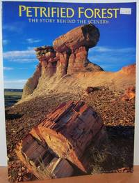 Petrified Forest: The Story Behind The Scenery