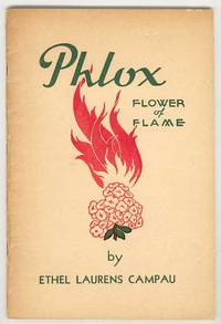 Phlox: Flower of Flame Phlox: Flower of Flame