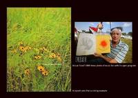 WOODSTOCK. 3 DAYS OF PEACE AND MUSIC