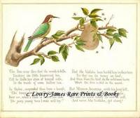A Glimpse of Oriental Nature, Pictures with Verses: Merops Apiaster (The Bee Bird, Bee Eater)