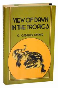 View of Dawn in The Tropics