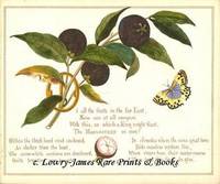 A Glimpse of Oriental Nature, Pictures with Verses: Mangosteen with Butterfly
