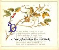 A Glimpse of Oriental Nature, Pictures with Verses: Mantis Aridifolia