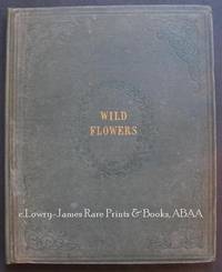 Wild Flowers