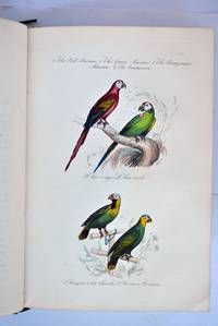 The Book of Birds: edited and abridged from the text of Buffon