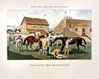 "Saddling the Favourite"