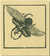 [UNTITLED BESTIARY] by  Walther: Klemm from William Reese Company - Literature ABAA-ILAB - Used Book - Paperback - Signed