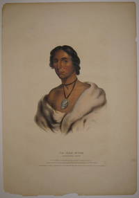 Pa-She-Nine: A Chippewa Chief