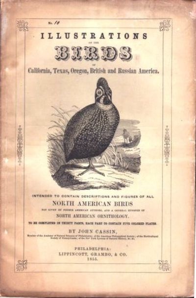 Image for Illustrations of the Birds of California, Texas, Oregon, British and Russian America ... to be completed in thirty parts, each part to contain five colored plates. Fascicule 10, text 273-298, plates 46-50