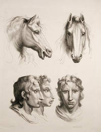 [Illustration of physiognomic resemblance between a Man and a Horse] [Pl. 20]