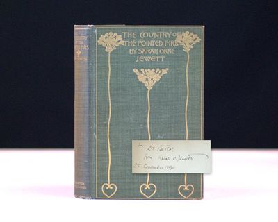 The country of pointed firs essay
