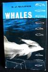 Whales