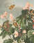 The Oblique-Leaved Begonia by  Robert John (circa 1768-1837). - Peter REINAGLE THORNTON from Donald Heald Rare Books - Used Book - First Edition